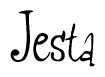 The image is a stylized text or script that reads 'Jesta' in a cursive or calligraphic font.