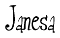The image is of the word Janesa stylized in a cursive script.
