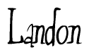 The image is of the word Landon stylized in a cursive script.