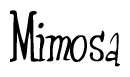 The image is of the word Mimosa stylized in a cursive script.
