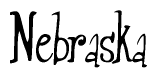 The image contains the word 'Nebraska' written in a cursive, stylized font.