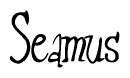 The image contains the word 'Seamus' written in a cursive, stylized font.