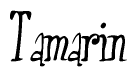 The image is of the word Tamarin stylized in a cursive script.