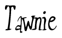 The image is of the word Tawnie stylized in a cursive script.