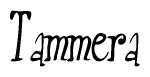 The image is of the word Tammera stylized in a cursive script.