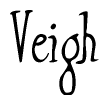 The image is of the word Veigh stylized in a cursive script.