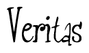The image contains the word 'Veritas' written in a cursive, stylized font.