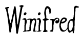 The image is a stylized text or script that reads 'Winifred' in a cursive or calligraphic font.