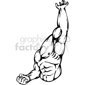 muscular torso clipart. Commercial use image # 373017