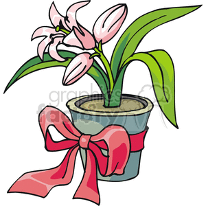 Pink Tulip with a red bow. clipart. Royalty-free image # 146016