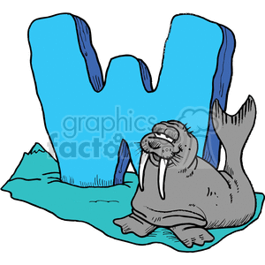 vector alphabet alphabets cartoon funny letter letters walruss w
