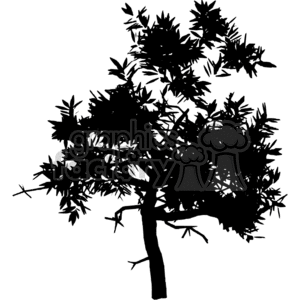 leafy tree silhouette clipart. Royalty-free image # 373770