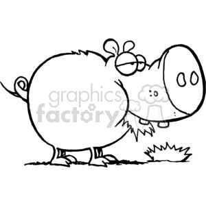 Cartoon Character Pig Chewing Grass clipart. Commercial use image # 379567