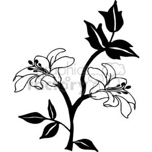 81-flowers-bw clipart. Royalty-free image # 380069