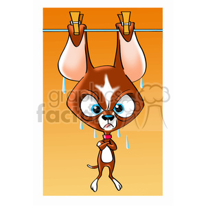 cartoon chihuahua dog drying by his ears clipart.