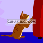 0_cat023 animation. Commercial use animation # 119171