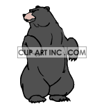   bear bears  Bear001.gif Animations 2D Entertainment 