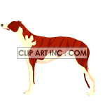 greyhound001 animation. Commercial use animation # 120088