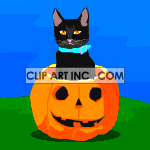   halloween pumpkins pumpkin cat cats black  Halloween_pumpkin_cat001.gif Animations 2D Holidays Halloween 