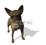   chihuahua chihuahuas dog dogs  chihua2.gif Animations 3D Animals 