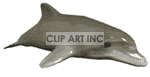 animated  dolphin animation. Royalty-free animation # 123601