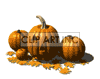 halloween pumpkin pumpkins  pumpkin.gif Animations 3D Holidays Halloween animated jackolantern autumn fall leaf leafs falling animated