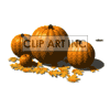 animated pumpkin patch with leaves falling background. Royalty-free background # 123817