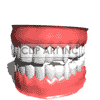 teeth clipart. Commercial use image # 123891