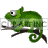 animated chameleon icon clipart. Commercial use image # 125159