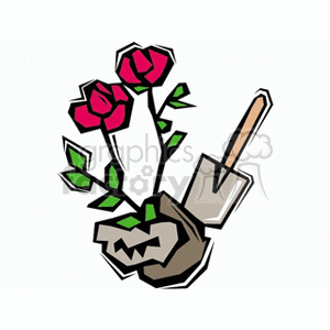 Shovel aids in planting red roses in full bloom