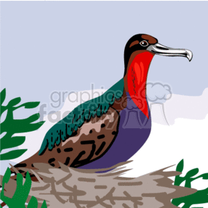 The clipart image shows a picture of a multicoloured bird sitting in its nest. It has a red neck, purple breast, mottled green back, and brown wings.