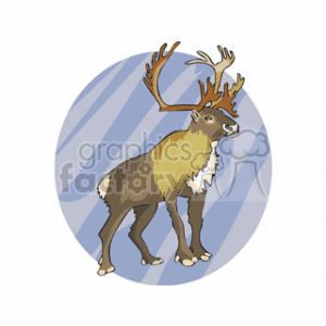   deer antlers brown running animal deers  deer6.gif Clip Art Animals 