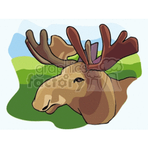 Moose clipart. Commercial use image # 128912