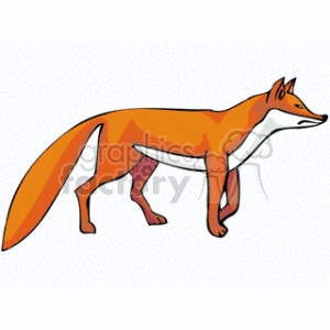  sly red white hunter hunters foxes Clip Art Animals 