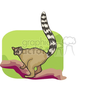 potto clipart. Royalty-free image # 129018