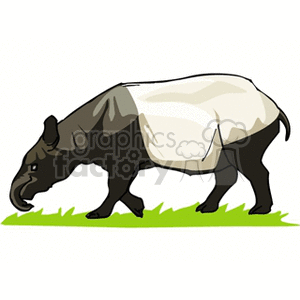 tapir2 clipart. Royalty-free image # 129049