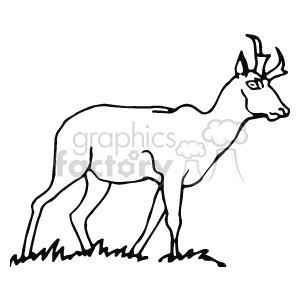black and white outline of a deer  clipart. Royalty-free image # 129255