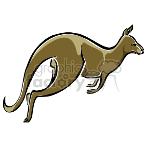  kangaroo kangaroos roo   Anmls036C Clip Art Animals 