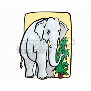 The image features a cartoon of a light gray elephant, which appears to be an interpretation of an elephant, a large mammal that could be either African or Asian in origin. The elephant is holding green foliage with its trunk, which suggests that it might be about to eat. The background is a simple yellow square, accentuating the elephant's figure.
