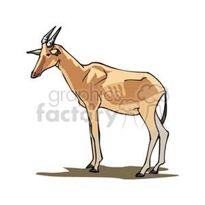 Profile of an African gazelle clipart. Royalty-free image # 129701