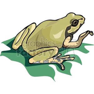 Green tree frog sitting on a leaf clipart. Royalty-free image # 129808