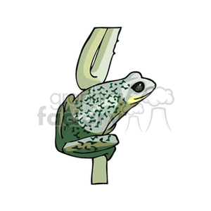 Spotted green frog sitting on a piece of grass clipart. Commercial use image # 129813