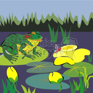 frog frogs animals amphibian amphibians Animals Amphibians swamp flowers toad toads water river lake lily+pad swamp pond