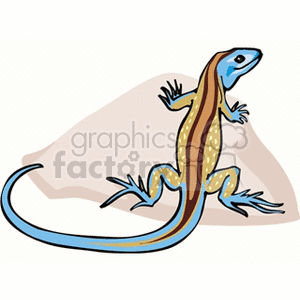 Colorful skink with blue, tan, and brown markings clipart.