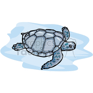 Blue sea turtle swimming clipart.