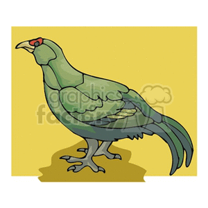 Profile of a black grouse  clipart. Royalty-free image # 130239