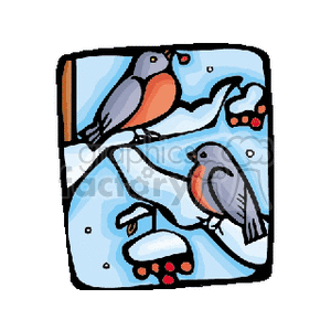 Bull finches playing in the snow