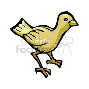 Cartoon canary bird clipart. Royalty-free image # 130260