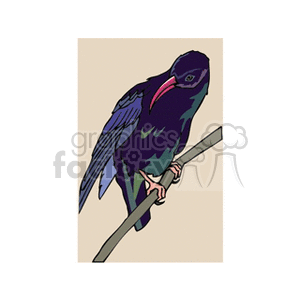 Red beak crow clipart. Commercial use image # 130313