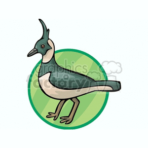Lapwing against a green background clipart. Royalty-free image # 130476